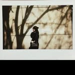 @freddie_brewer - Instagram