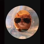 Freddie briggs - @freddiebriggles_2008 - Instagram