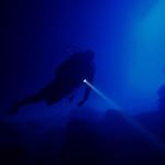 @freddie_brittin - Instagram