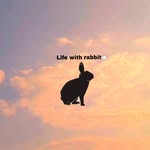 Bunny Fred🐰🐾 - @freddie._the._bunny - Instagram