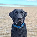 Freddie Burke - @freddie_burkury - Instagram