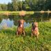 Fred Calvert - Facebook