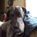 Freddie Cannon - Facebook