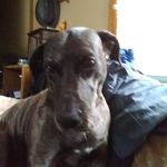 Freddie Cannon - @freddie.cannon.12 - Instagram