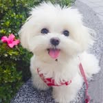 Freddie Cannone - @cannonefreddie - Instagram