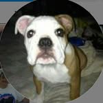 Freddie Carpenter - @2c89zu7i8v - Instagram