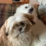 Freddie & Cash - @luvfreddiencash - Instagram