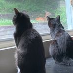 Casper and Freddie - @casper_and_freddie - Instagram