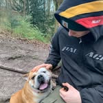 @freddiechamberlain - Instagram
