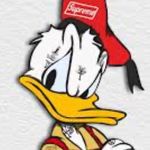 Freddie corbett - @duckly_yt - Instagram