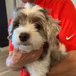 Freddie Douglas - @freddiedouglas65 - Instagram