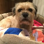 Freddie Fielding - @following_freddie - Instagram