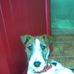 Freddie Foster - Facebook