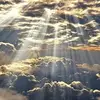 Freddie Galvan - @freddie.galvan1 - TikTok