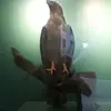freddiegalvan03 - @freddiegalvan03 - TikTok
