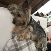 Freddie Harrigill - @freddie.harrigill - TikTok