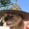Freddie_graves - @freddie_graves - TikTok