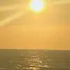 Fazbear - @freddie.grayson - TikTok