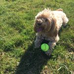 Freddie Medhurst - @freddiemedhurst71 - Instagram