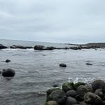 Freddie Johnston - @albertthomson973411 - Instagram