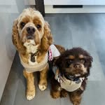 Rupert & Freddie - @jollyrupert_fearlessfreddie - Instagram