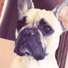 freddiekirk7 - @freddiekirk7 - TikTok