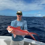 Freddy Klein - @_freddyklein_ - Instagram