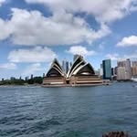 Freddy Kong - @moey.fadar - Instagram