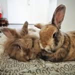 Lotte und Freddie - @lotteundfreddie - Instagram