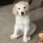 freddie_mac - @freddie_mac0908 - Instagram