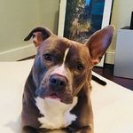 Freddie Mack - @freddiemack_thepit - Instagram