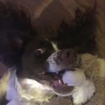 Freddie Mackey - @freddie.mackey - Instagram