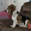Freddie Mae - @freddy.mae - TikTok