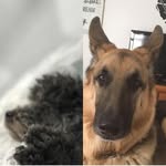 Major&freddie_ - @majorfreddie_ - Instagram