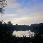 @freddiemann162021 - Instagram