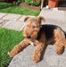 Freddie Mayer - Facebook
