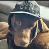 Freddy_meier - @freddy_meier - TikTok