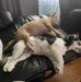 Freddie Mayes - Facebook