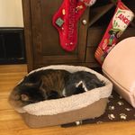 Maynard/Freddie - @maynard_n_freddie - Instagram