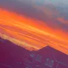 Fred - @freddiemccarthy_ - TikTok