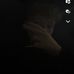 Freddie Mckeon - Facebook