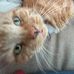 Freddie Meredith Jones - Facebook