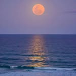 Freddie Moon - @freddiemoonpoet - Instagram