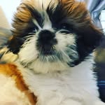 Freddie - @freddiemoran766 - Instagram