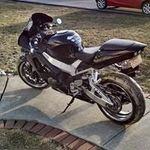 Freddy Moss - @freddy.moss.1 - Instagram