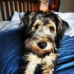Freddie O'Connor - @freddieoconnor - Instagram