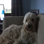 Freddie Orr - @freddie_orr - Instagram