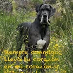 Francojmz Pher - @sir_winston_freddie_otto - Instagram