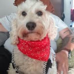 Freddie parry - @freddie300817 - Instagram