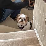 Freddie Parry - @freddie.parry_ - Instagram